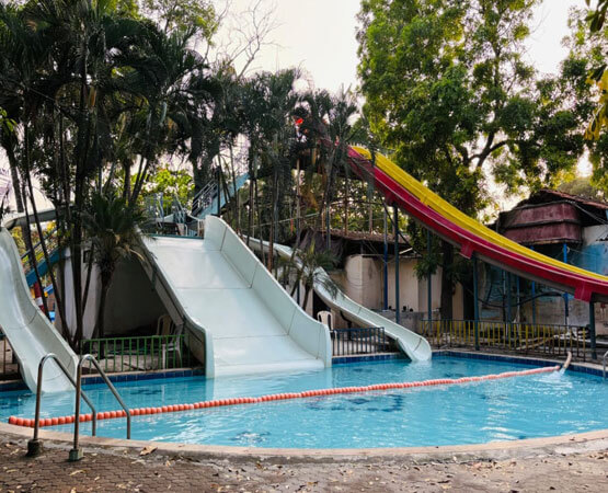 Family D-Pool